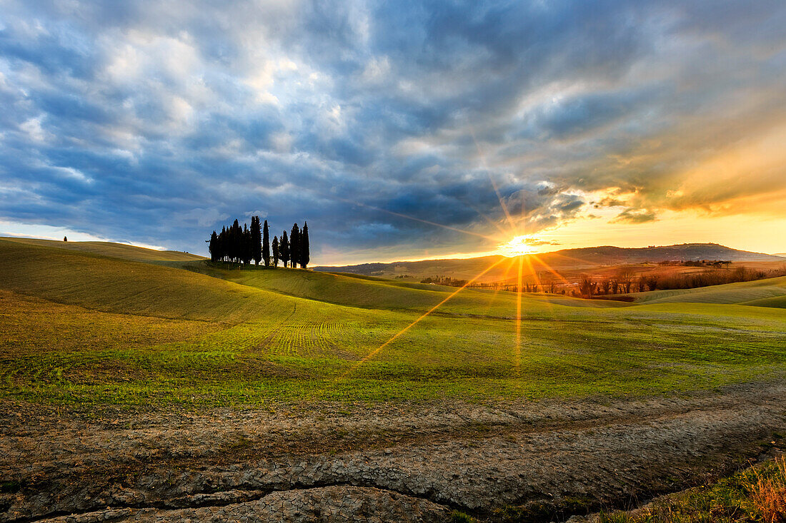 Sunset at San Quirico d'Orcia cypresses, Val d'Orcia, Tuscany, Italy