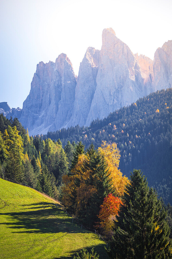 Santa Magdalena, Funes valley, Puez Odle Natural Park, South Tyrol, Italy