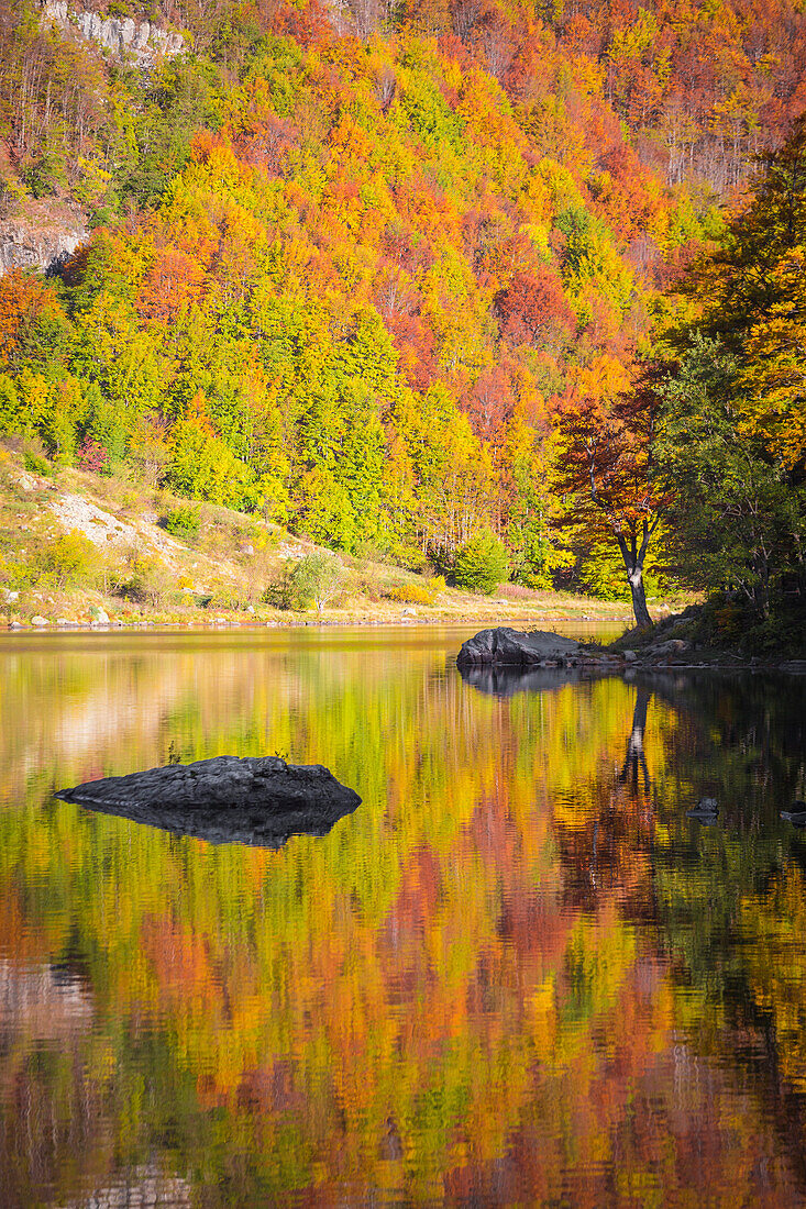 Autumnal colorful at Lago Santo, Pievepelago, Modena province, Italy.