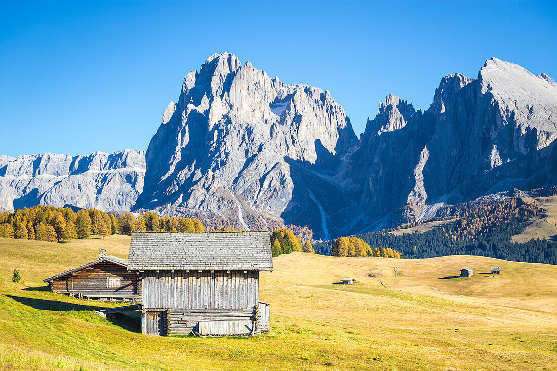 Alpe di Siusi with Mount Sassolungo and Mount Sassopiatto on yhe background, South tyrol, Italy