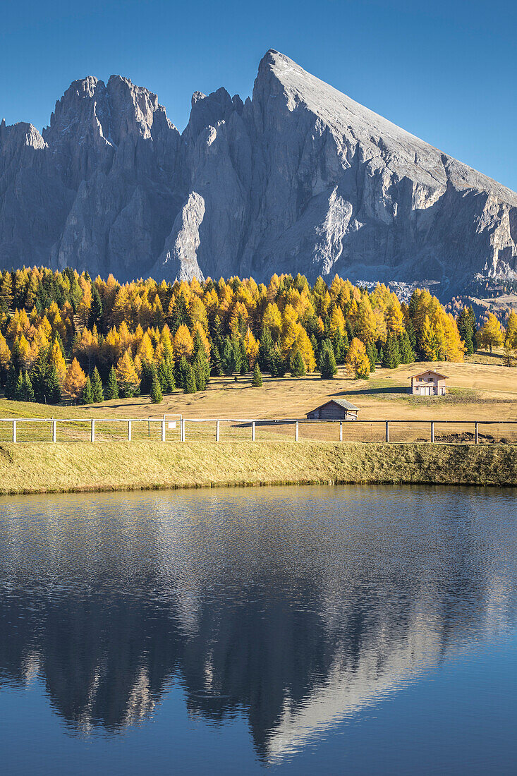 Alpe di Siusi, South Tyrol, Italy