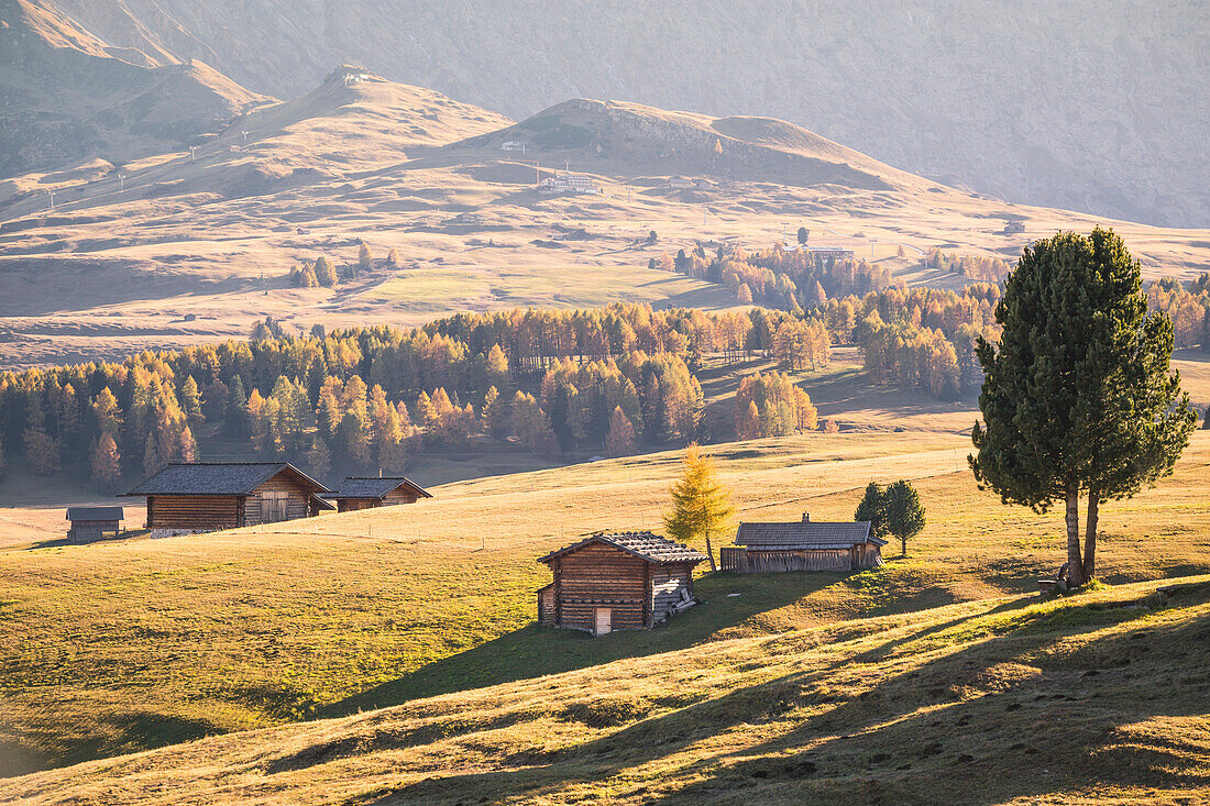 Alpe di Siusi, South Tyrol, Italy