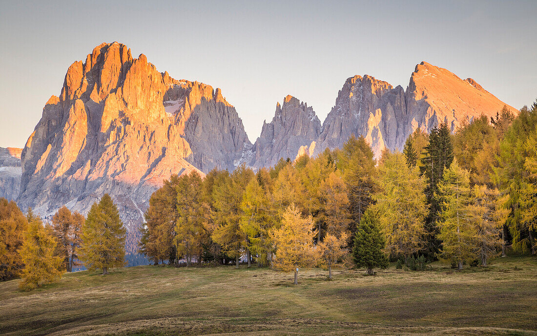 Alpe di Siusi with Mount Sassolungo and Mount Sassopiatto on yhe background, South tyrol, Italy