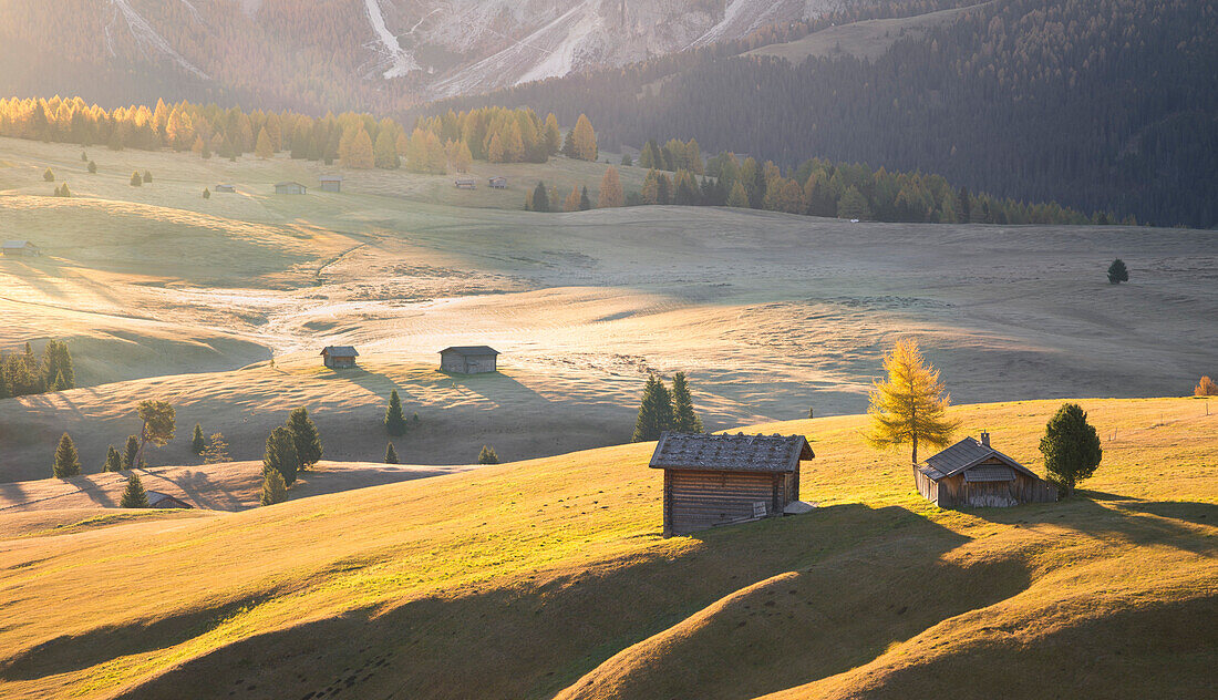 Alpe di Siusi, South Tyrol, Italy