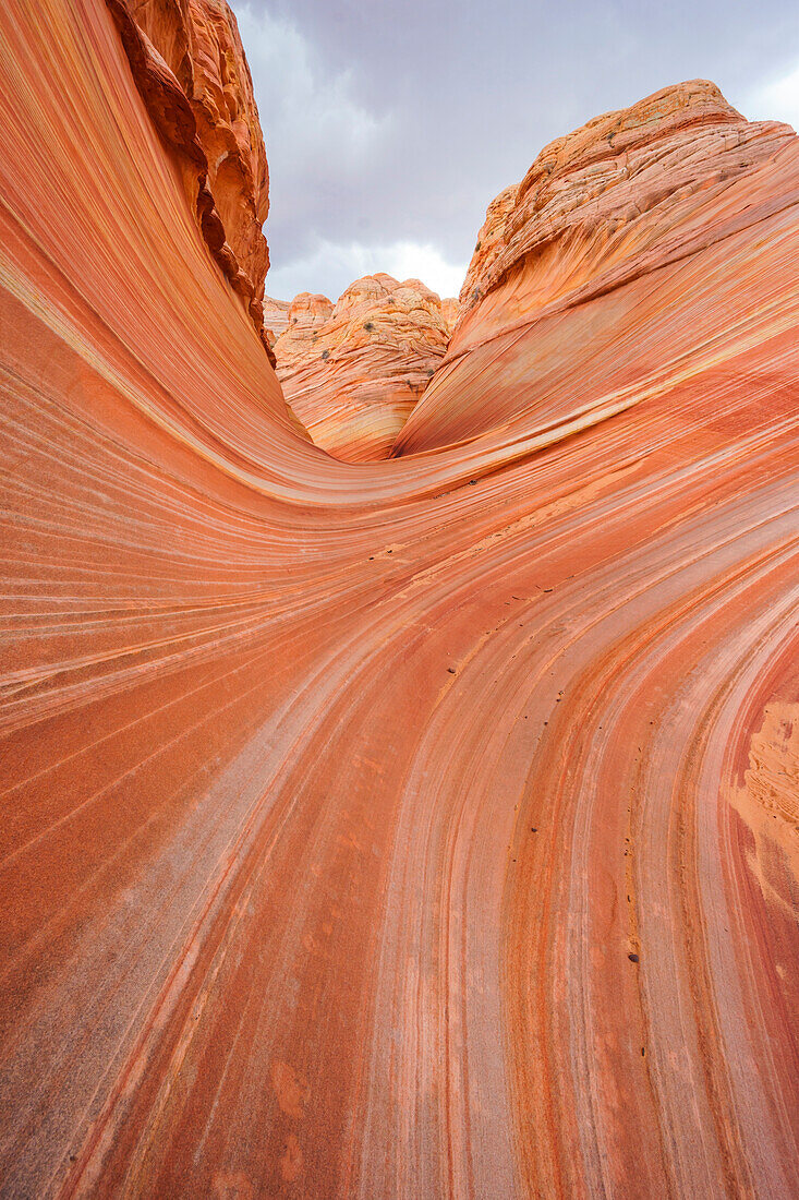 The Wave, Coyote Buttes North, Colorado Plateau, Arizona, USA