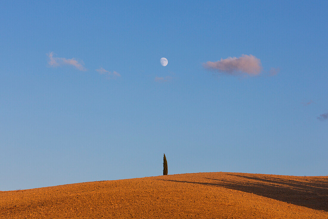 Europe,Italy,Siena district,Orcia Valley, San Quirico d'Orcia.