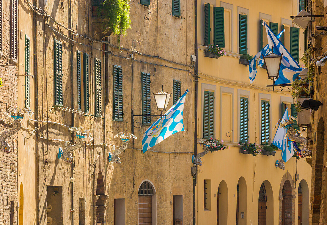 Siena, Tuscany, Italy, Europe, Contradas flag