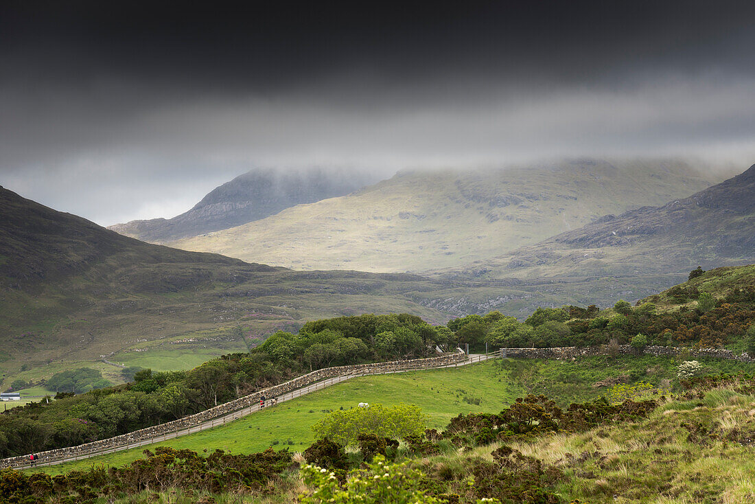 Ireland, Letterfrack, Connemara National Park, Co. Galway, Ireland. Foggy day