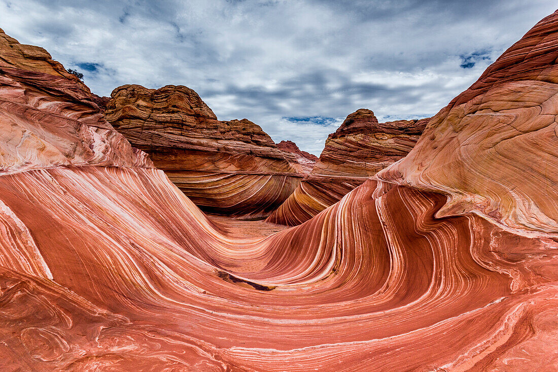 The Wave rock formation, Paria Canyon Vermillion Cliffs, Coyote Buttes, Page, Arizona, USA