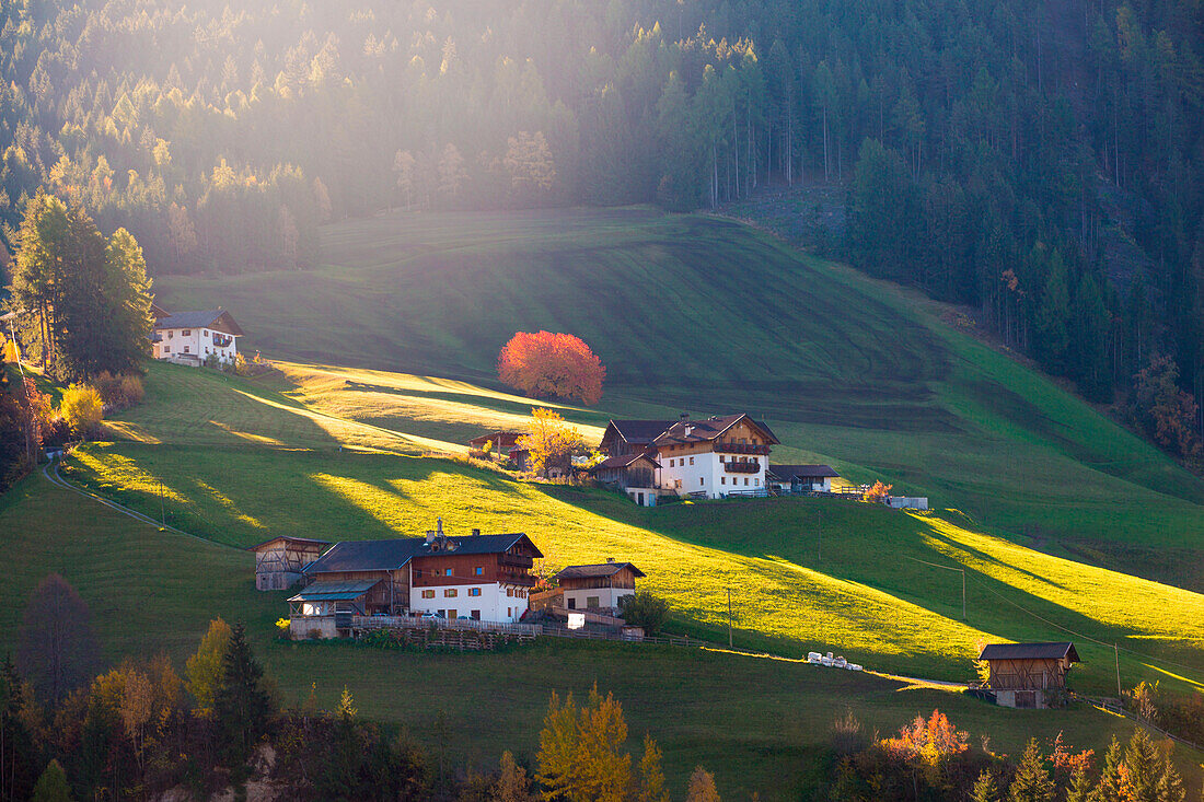 Autumn in the Italian Dolomites Alps, Funes Valley, Trentino Alto Adige, Italy