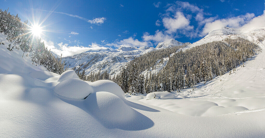 White landscape at Roger pass, British Columbia, Canada