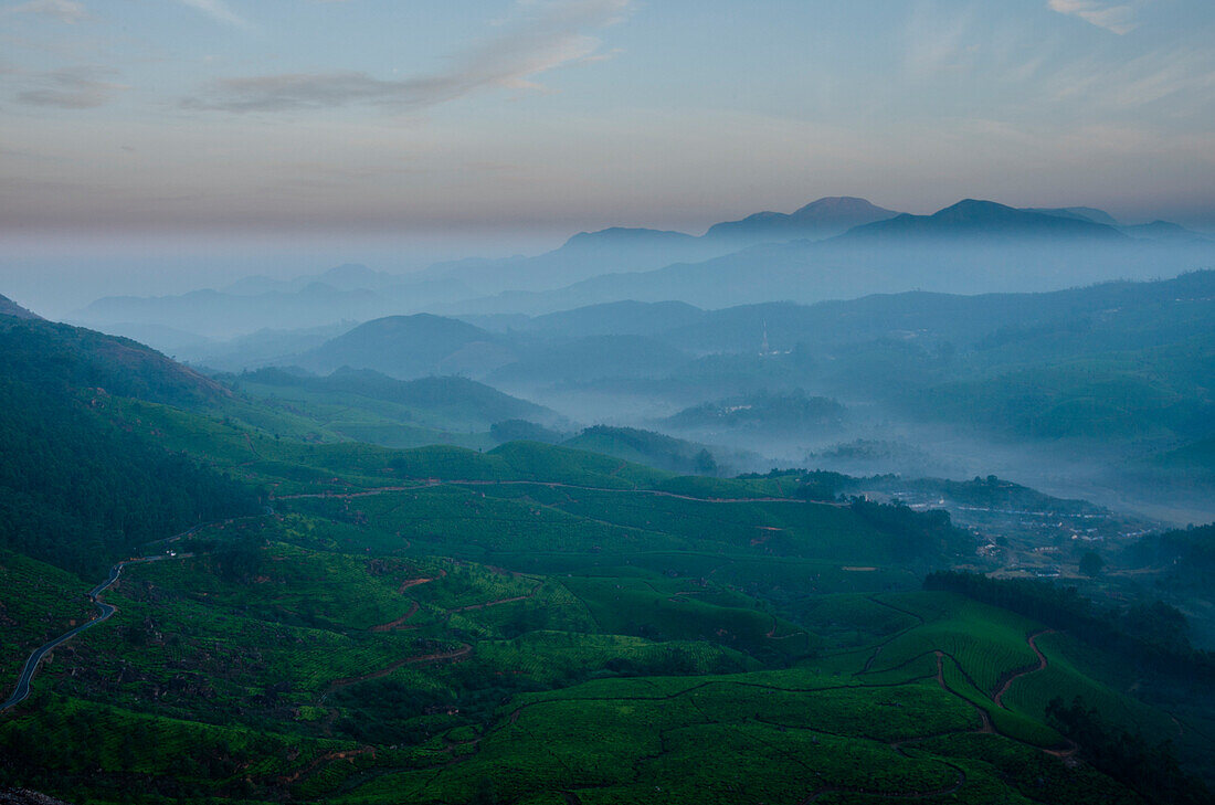 Munnar, Kerala, India, A sunrise view of the tea plantation