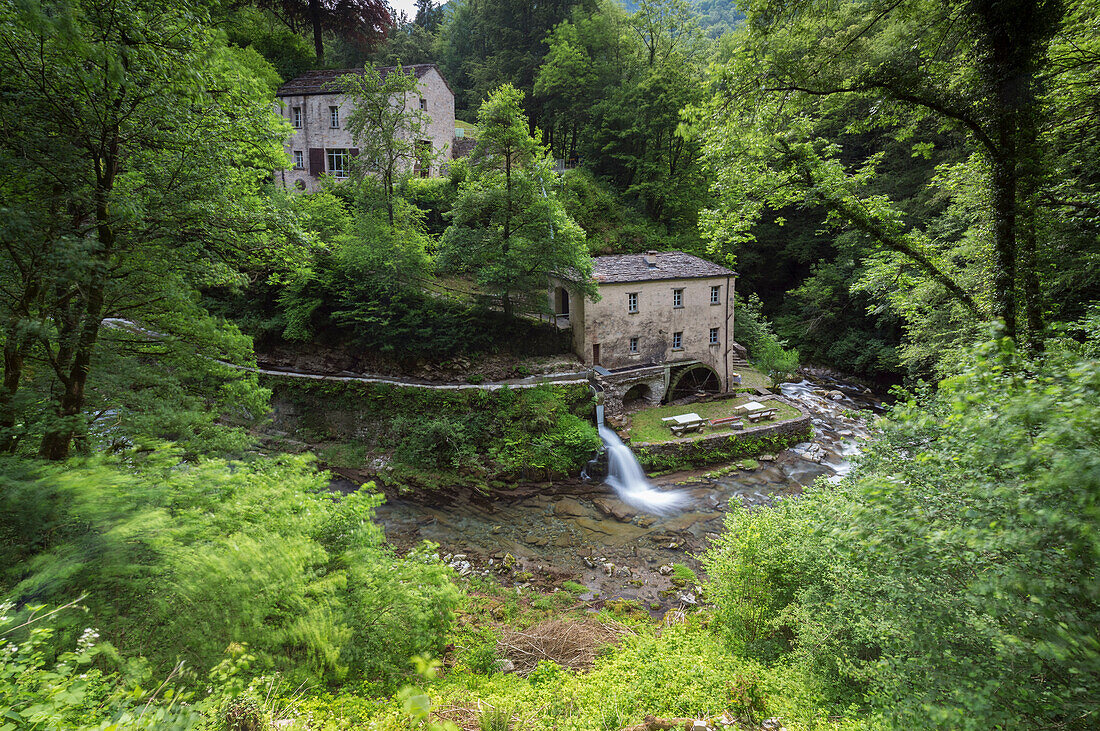 The river Breggia at the Bruzella mill, Muggio Valley, Mendrisio District, Canton Ticino, Switzerland.