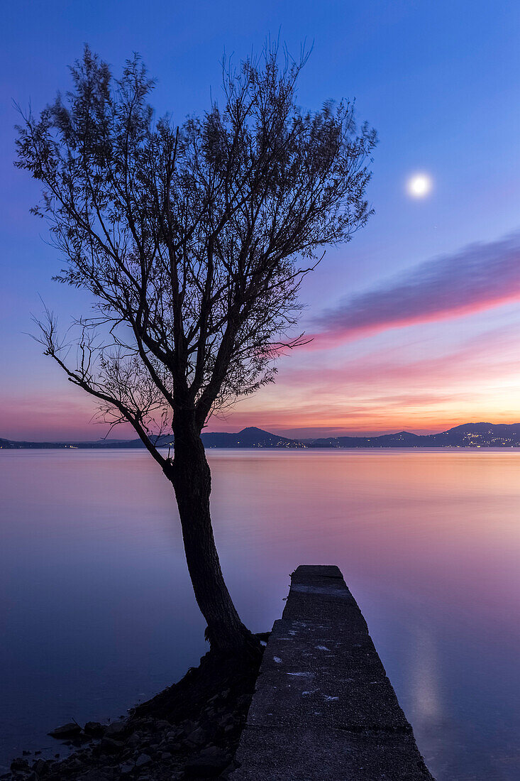 A lonely tree at the Arolo pier during an autumnal sunset, Arolo, Leggiuno, Lake Maggiore, Varese Province, Lombardy, Italy.