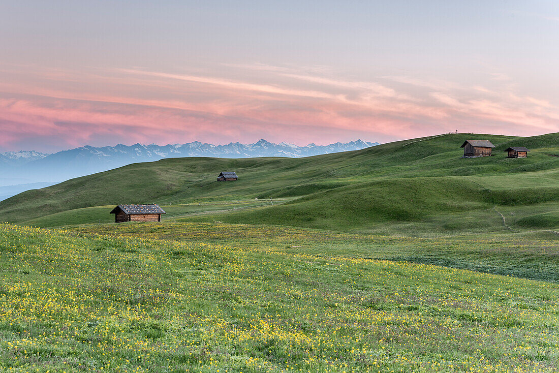 Alpe di Siusi/Seiser Alm, Dolomites, South Tyrol, Italy, The morning on the Alpe di Siusi