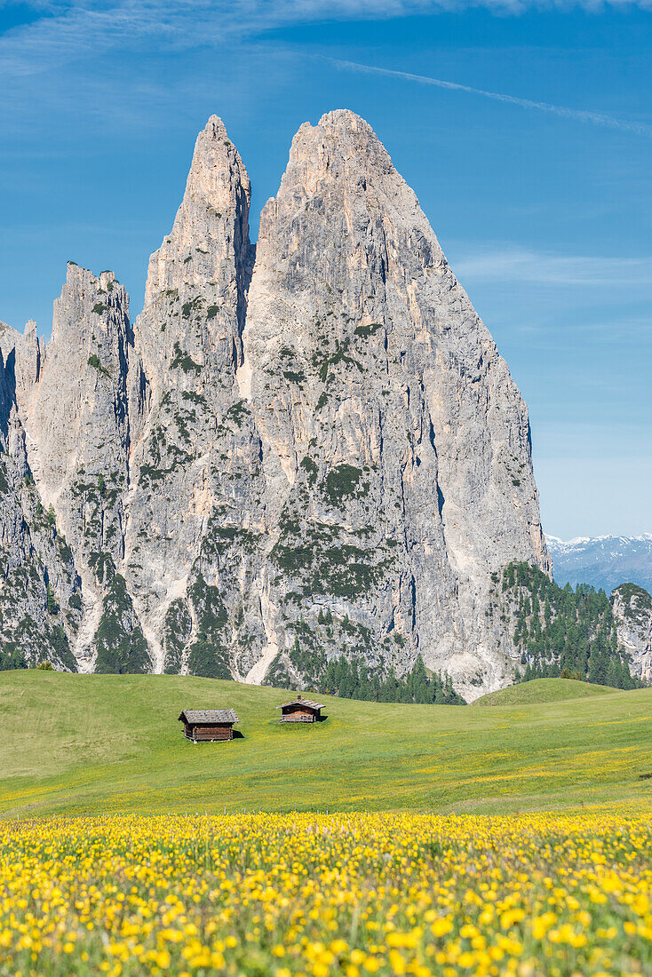 Alpe di Siusi/Seiser Alm, Dolomites, South Tyrol, Italy