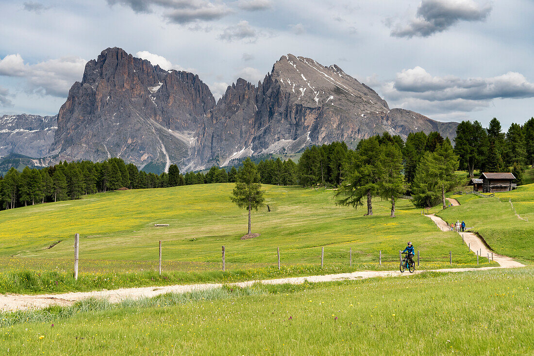 Alpe di Siusi/Seiser Alm, Dolomites, South Tyrol, Italy.