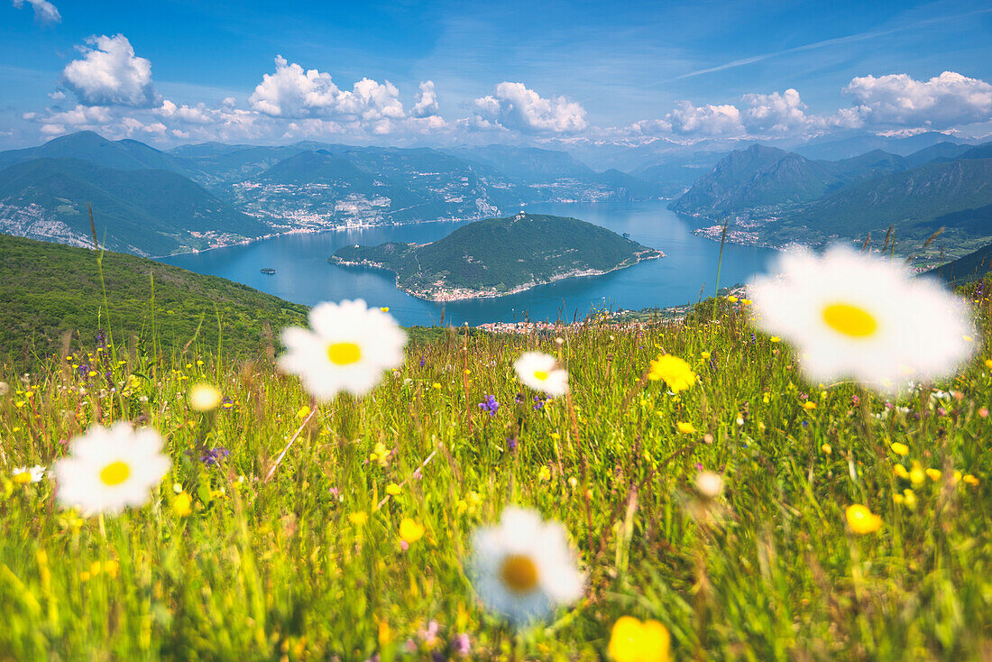 Bloomings over Iseo Lake,Brescia province in Lombardy district, Italy, Europe
