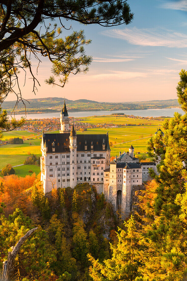 Neuschwanstein Castle in Autumn at sunset Europe, Germany, Bavaria, southwest Bavaria, Fussen, Schwangau