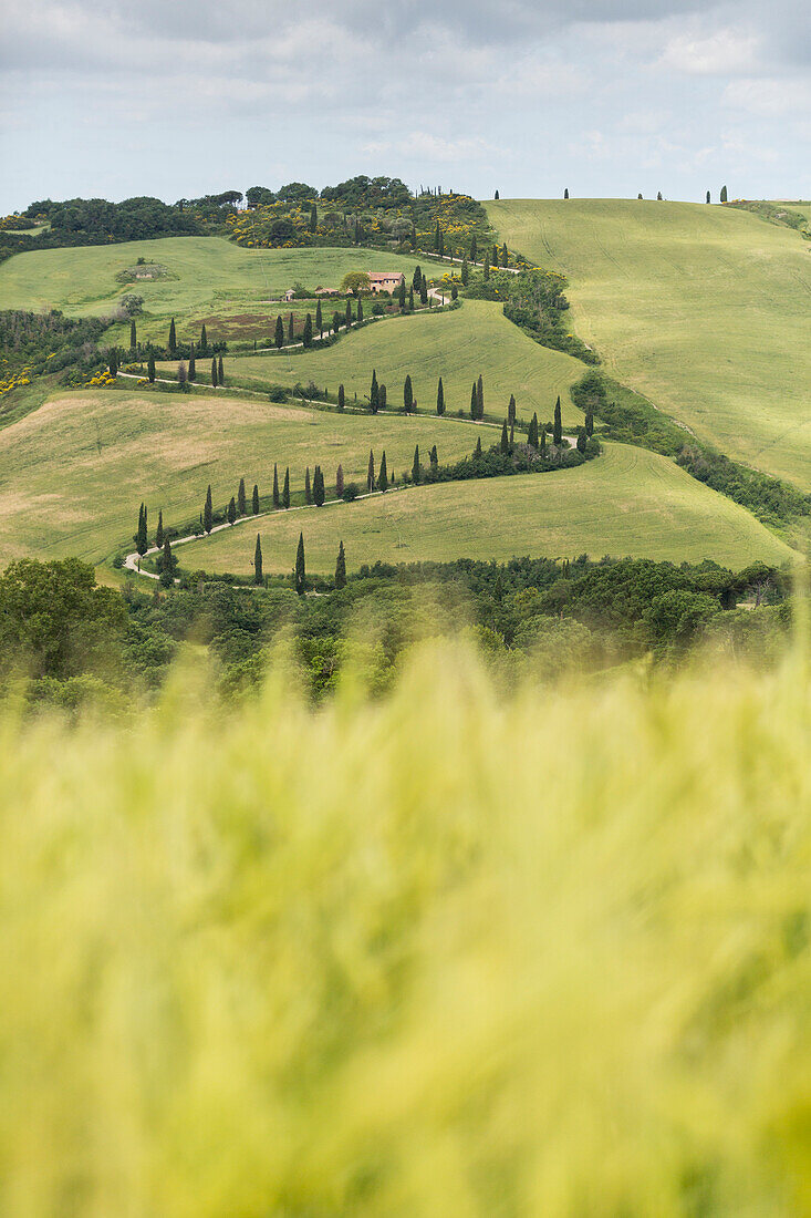 Tuscany, provence of Siena, La Foce at Tuscany hills, Italy