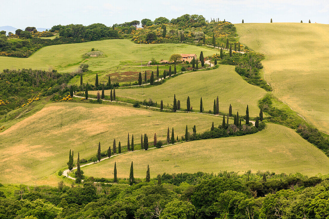 Tuscany, provence of Siena, La Foce at Tuscany hills, Italy