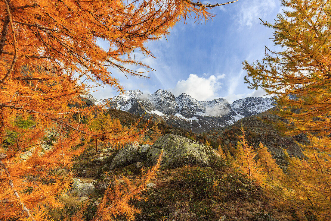 Italy, Lombardy, autumn landscape at Painale valley, in the background Ron peak