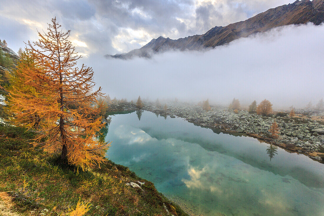 Italy, Lombardy, Painale lake, autumn landscape at Painale lake