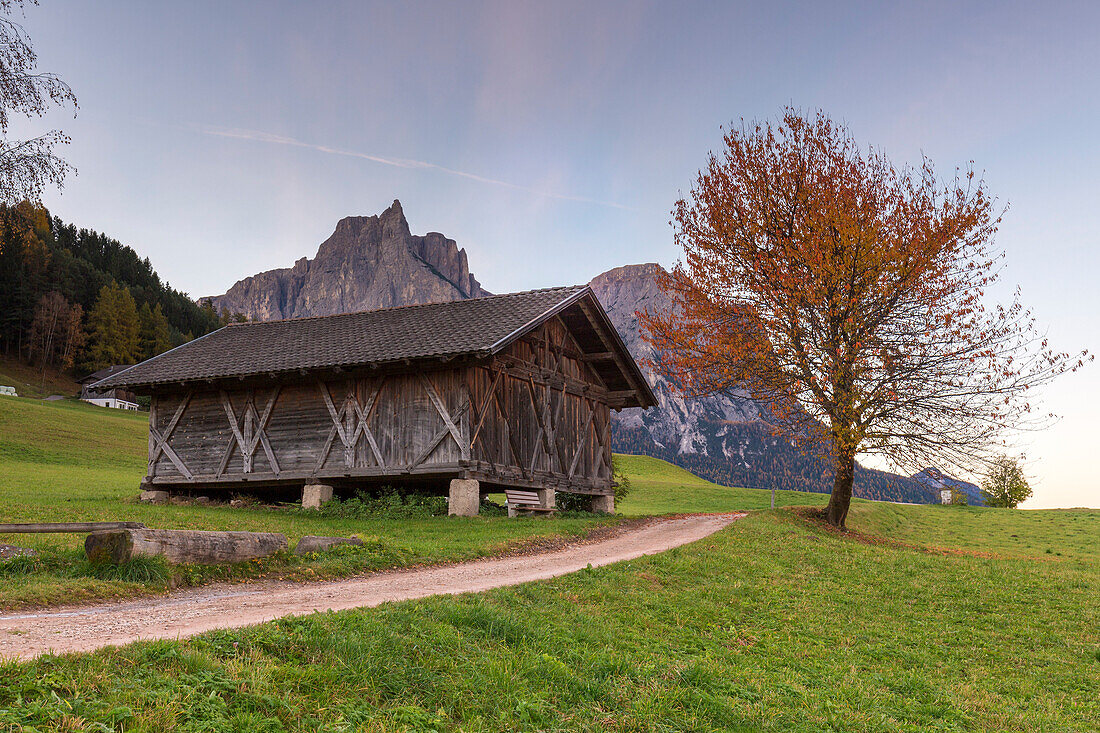Wood hut with Punta Santner on background, Castelrotto, Seiser Alm, Bolzano province, South Tyrol, Italy