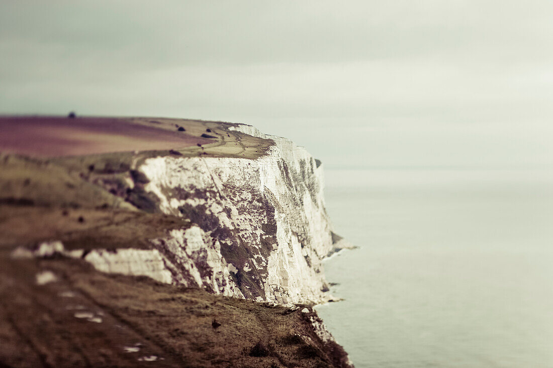 Rugged white cliffs along the coastline; Dover, England
