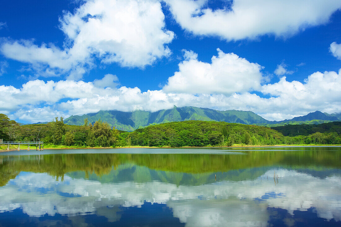 Mirror image of forest and mountains in the tranquil water of the Wailua reservoir; Wailua, Kauai, Hawaii, United States of America