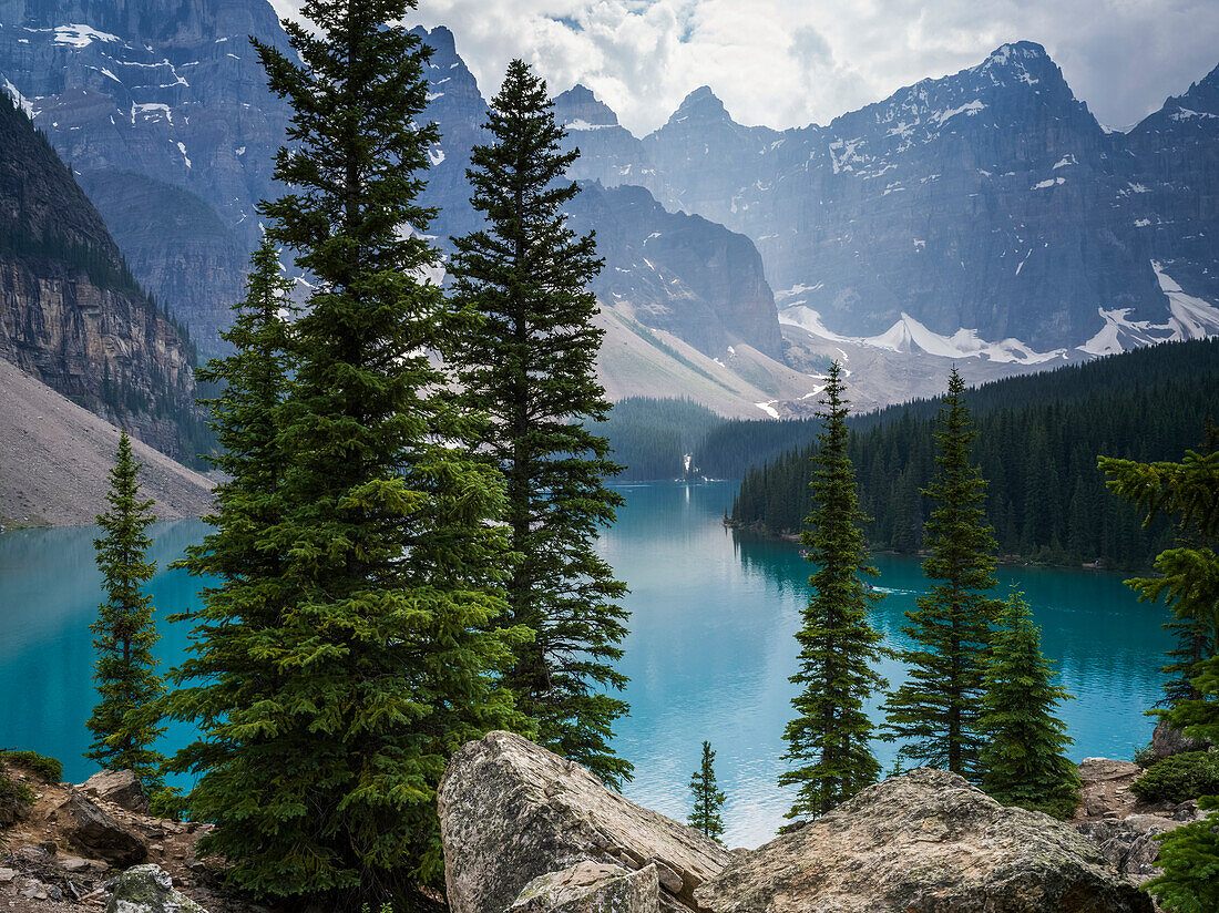 Stunning view of the rugged Canadian rocky mountain peaks and a tranquil turquoise Moraine Lake with forests along the shoreline; Field, British Columbia, Canada