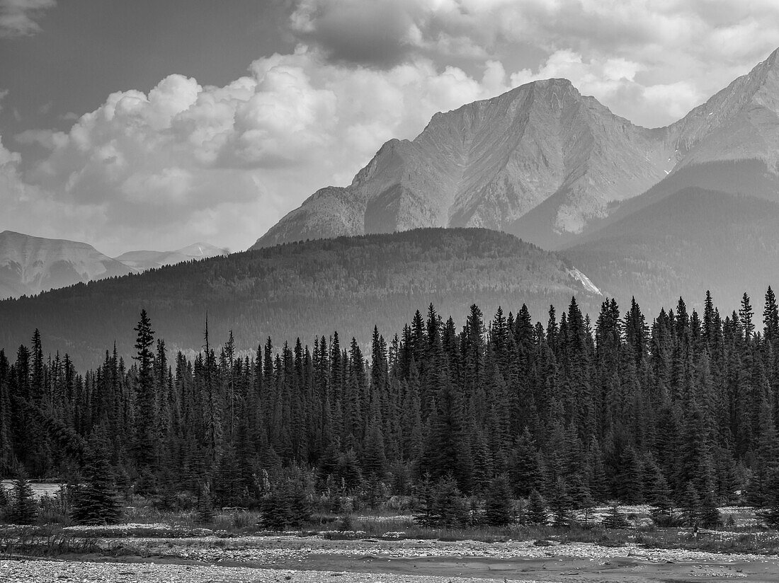 Black and white landscape of the rugged Canadian rocky mountains with a forest and a river in the foreground; Invermere, British Columbia, Canada