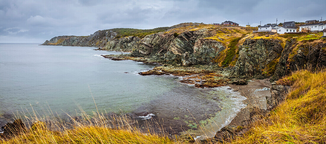 Rugged Atlantic coastline with golden fields and a cloudy sky; Newfoundland, Canada