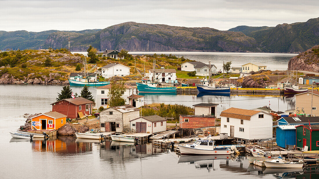 A fishing village with colourful sheds and houses along the Atlantic coastline; Bonavista, Newfoundland, Canada