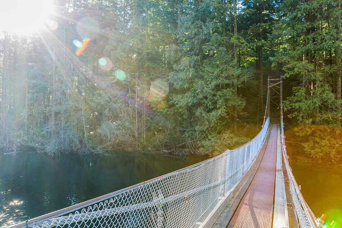 Sunshine lights the way along a suspension bridge across the end of Buntzen Lake trail to continue the path into the forest trails near Vancouver; British Columbia, Canada