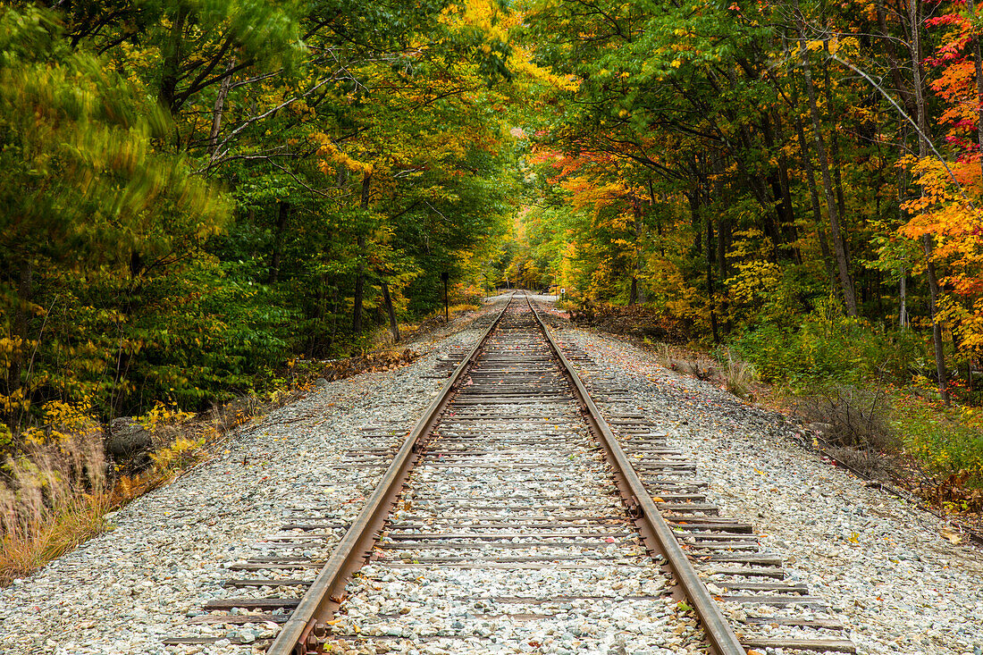 Railroad tracks along the Saco River lined with trees in autumn coloured foliage, White Mountains National Forest; New England, United States of America
