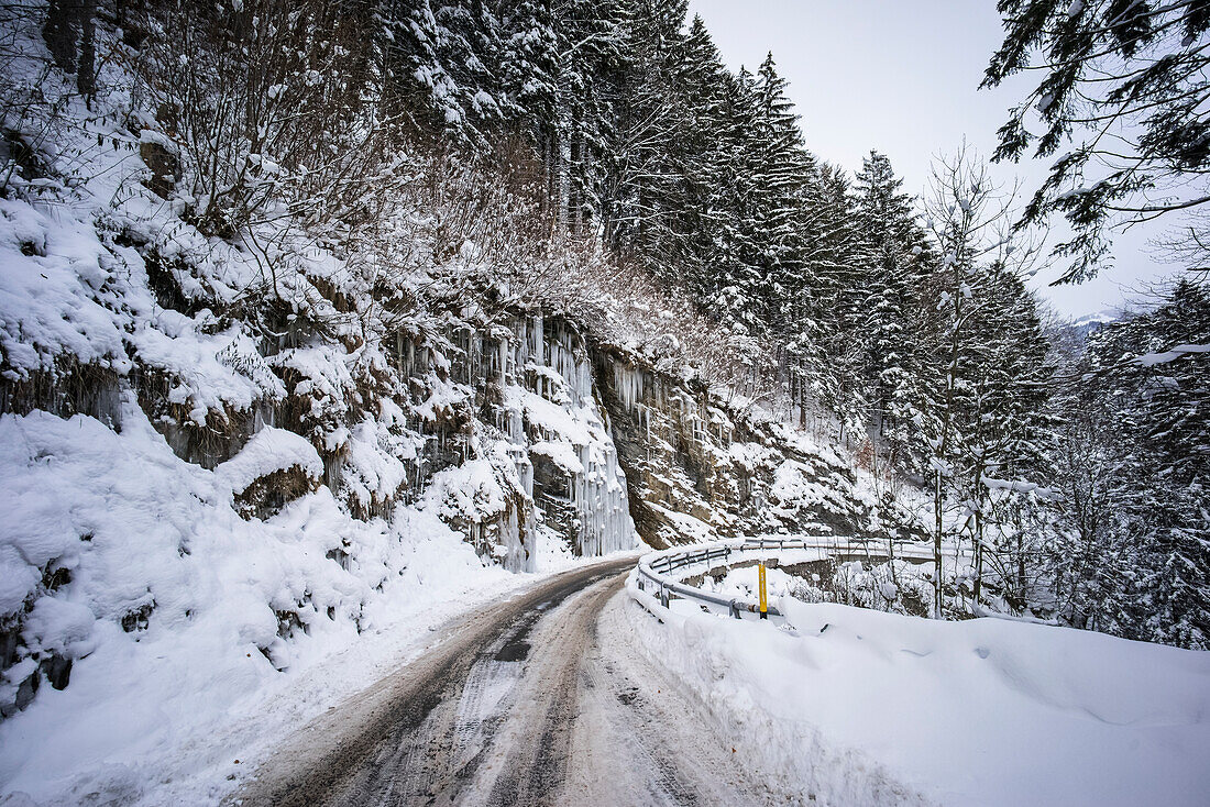 Tire tracks in a snow covered road beside a forest on a mountainside, Hauptstrasse Road; Switzerland