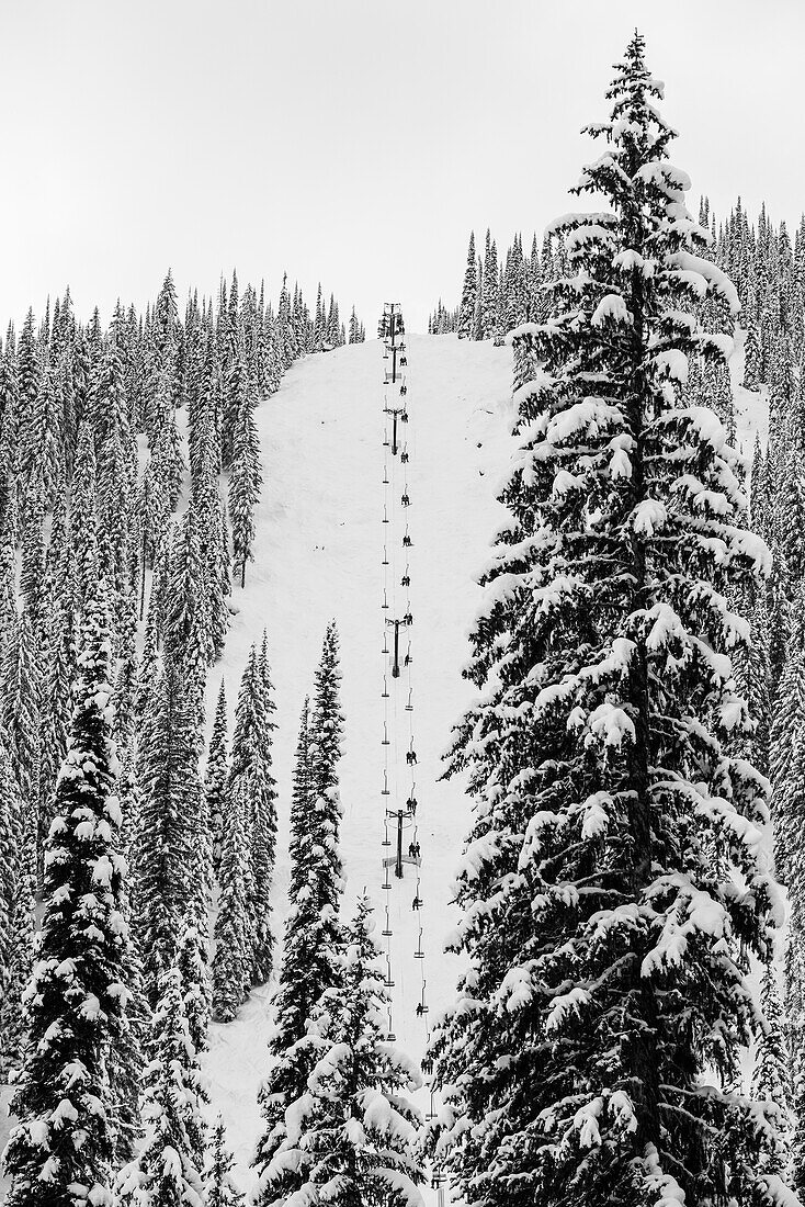 A chair lift going up a steep slope on a snow covered ski hill at Whitewater Resort; Nelson, British Columbia, Canada