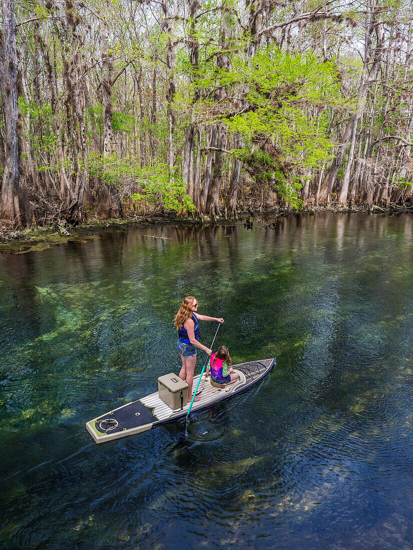A mother and daughter paddleboard down the stream of freshwater spring; Chiefland, Florida, United States of America