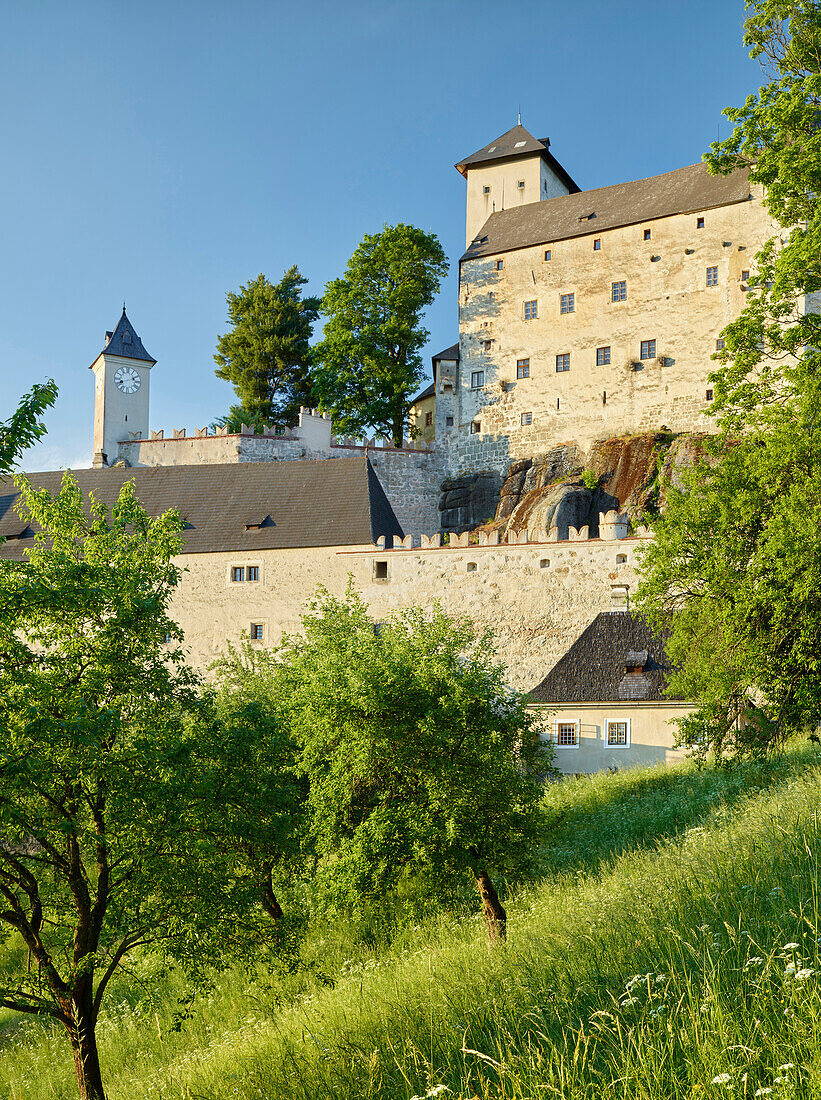 Burg Rapottenstein, Niederösterreich, Österreich