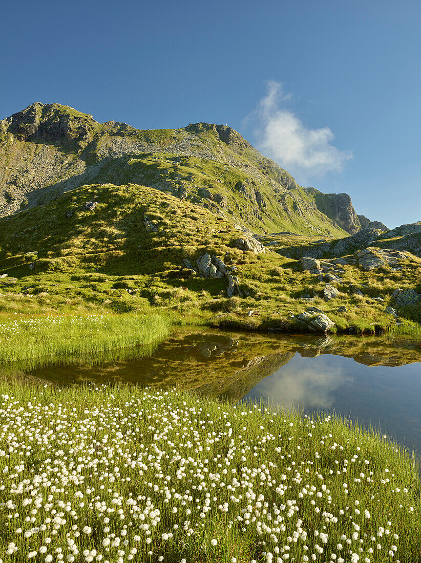 Neualplseen, Saddle heads, Schober Group, East Tyrol, Tyrol, Austria