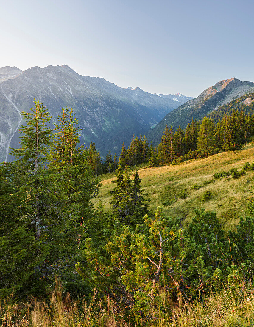 Blick vom Plattenkogel ins Krimmler Achental, Hochkrimml, Venediger Gruppe, Hohe Tauern, Salzburg, Österreich