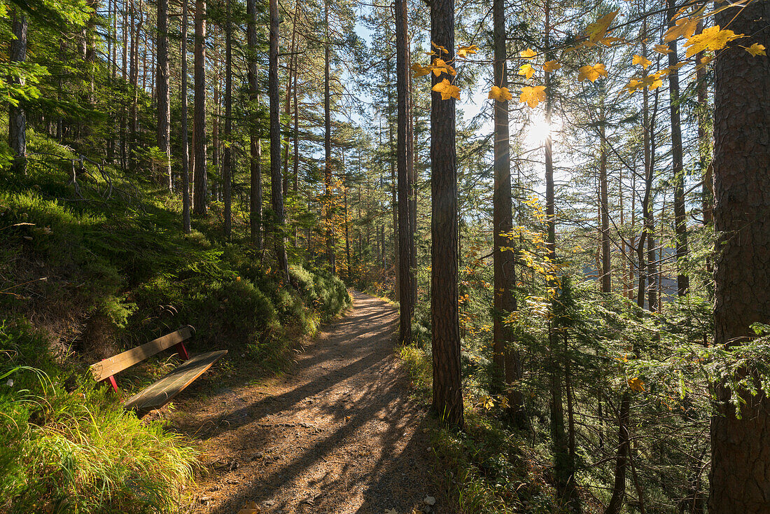 hiking trail to the Twenty Schiling view, Viennese house mountains, Lower Austria, Austria