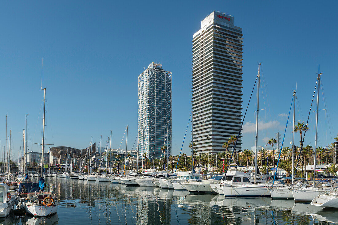 Olympic Port, Port Olimpic, Barcelona, Catalonia, Spain