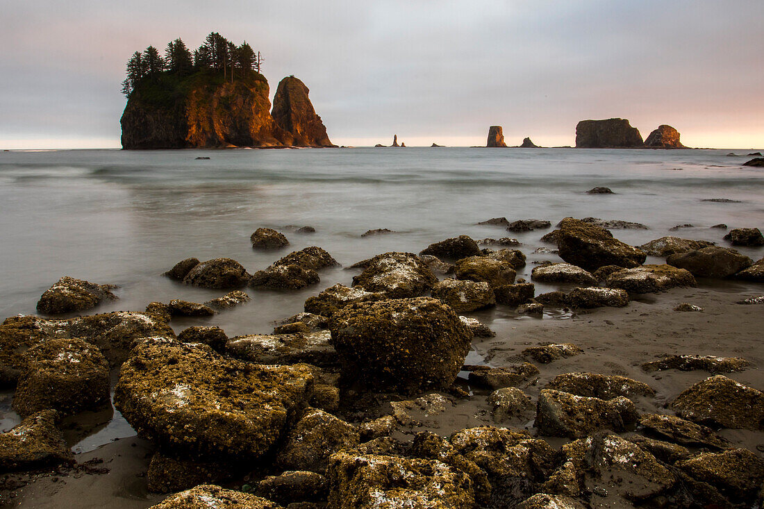 Beautiful natural scenery of Second Beach with islands and rocks at sunset, La Push, Washington State, USA