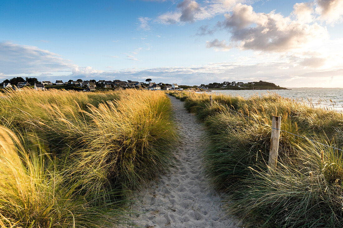 Sandy path in grass at sunset in Brittany, Sillon de Talbert, France