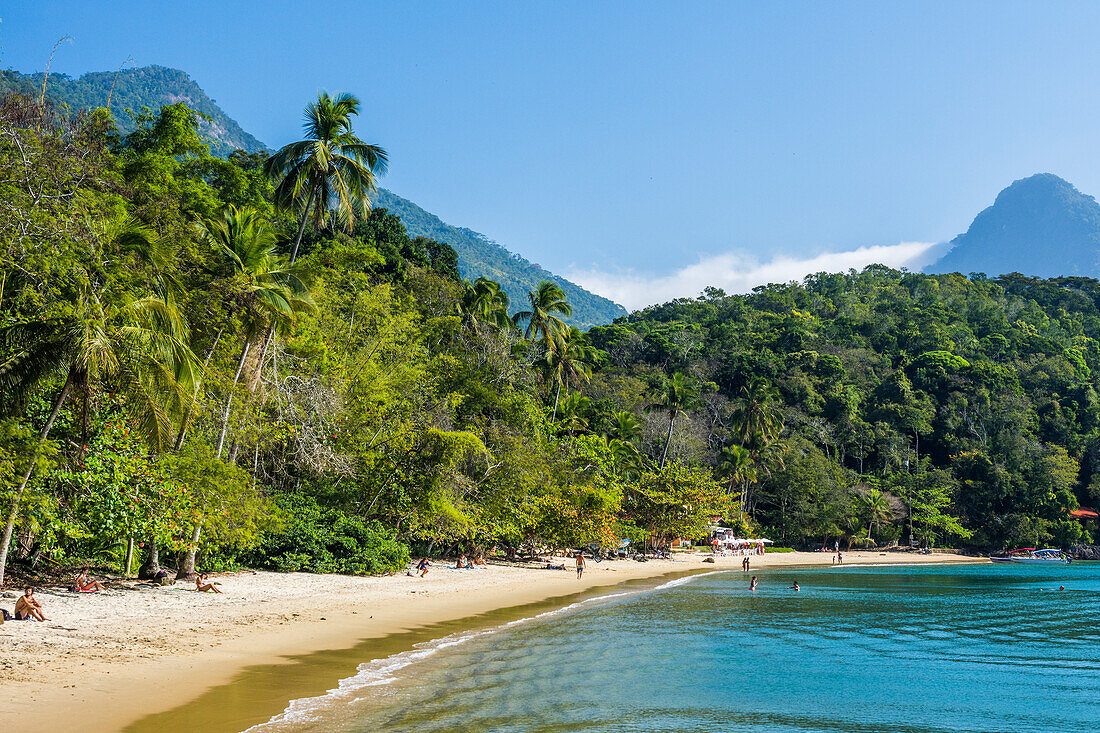 Tropical beach with palm trees in Ilha Grande, Rio de Janeiro, Brazil
