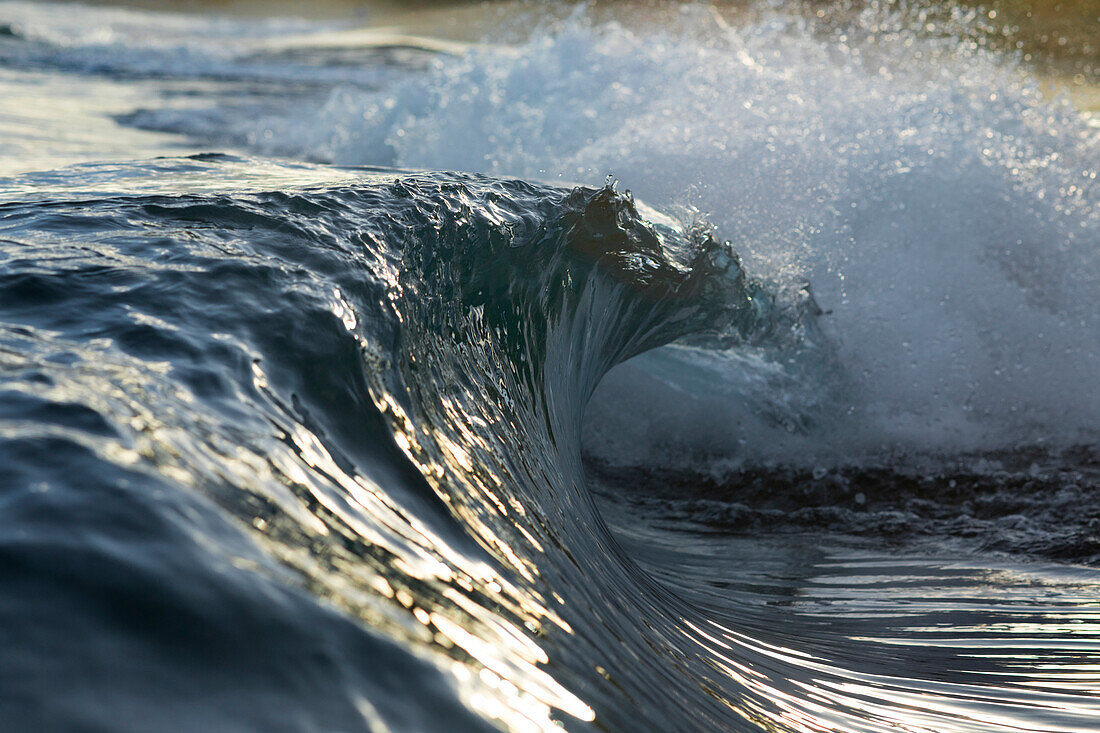 Ocean wave, north shore of Oahu, Hawaii Islands, USA