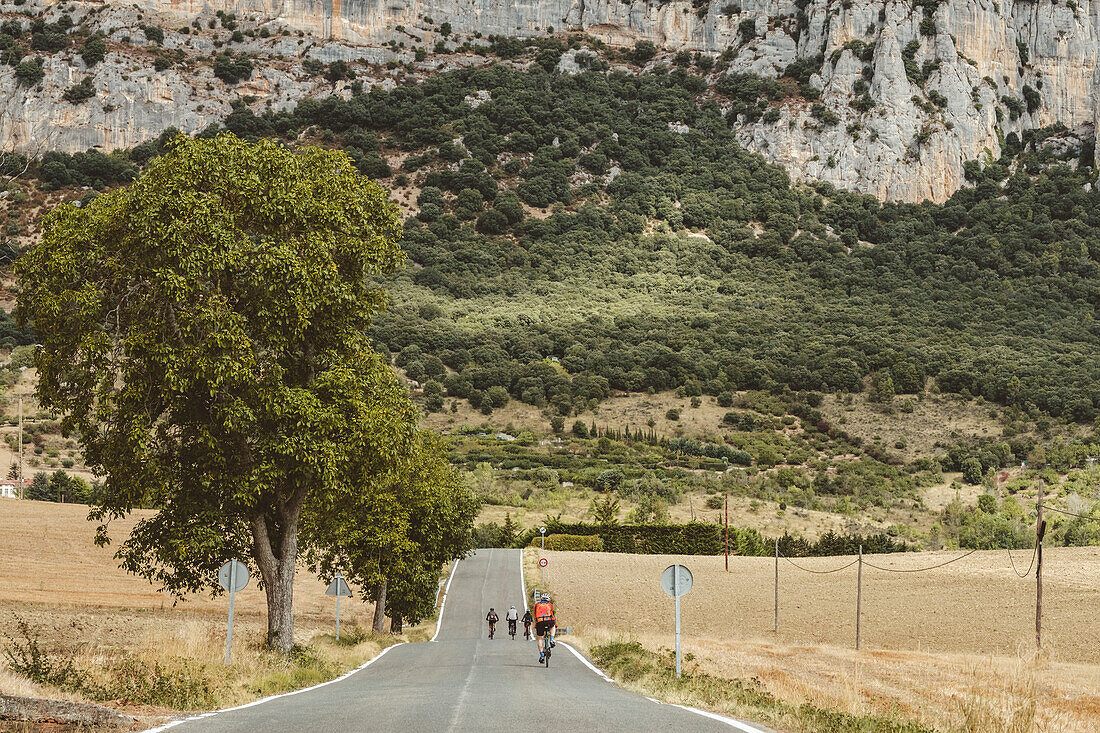 Group of cyclists pedaling on country road on foot of mountain, Pamplona, Navarre, Spain