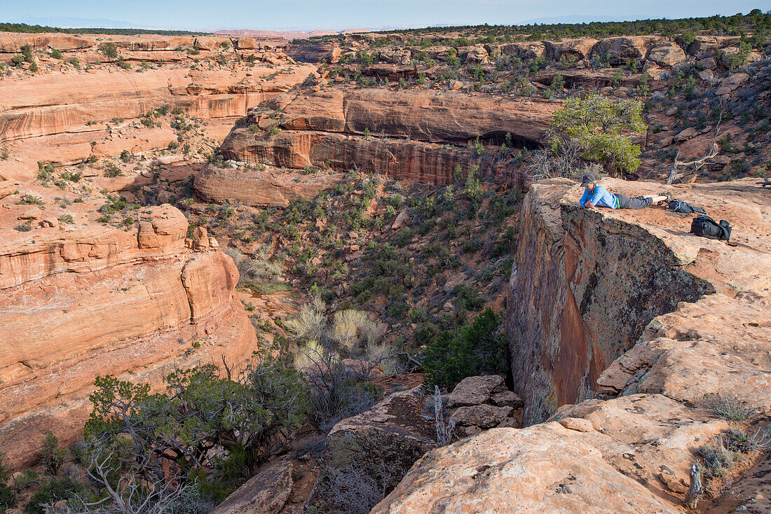 Woman looking into canyon below Moon House ruins, Cedar Mesa, Bears Ears National Monument, Utah, USA